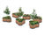 Highlife III Serpentine Tubs 1