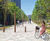 Solid Quattro Pillars and Bollards 4