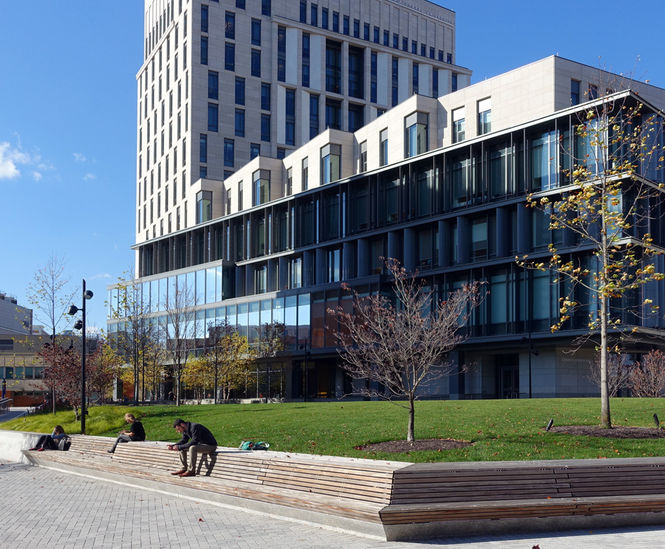 Extra-long seating elements for university campus