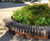 Oval Tree Isles for Glasgow shopping centre 0