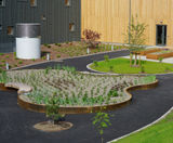 Seating and planters for nursing home's sensory garden - on this page