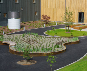 Seating and planters for nursing home's sensory garden