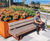Benches and tree planter isles - Staten Island, NY 0