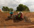 Conventional seeding services 0
