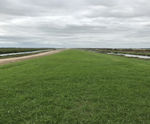 Hydroseeding to the banks at Ouse Washes, Cambridgeshire