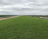 Hydroseeding to the banks at Ouse Washes, Cambridgeshire - on this page