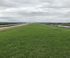 Hydroseeding to the banks at Ouse Washes, Cambridgeshire