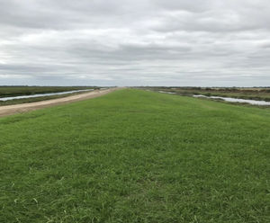 Hydroseeding to the banks at Ouse Washes, Cambridgeshire
