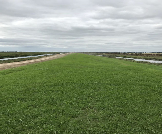 Hydroseeding to the banks at Ouse Washes, Cambridgeshire