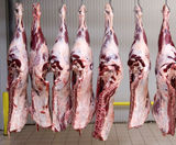More abattoirs using Multirail overhead track systems - on this page