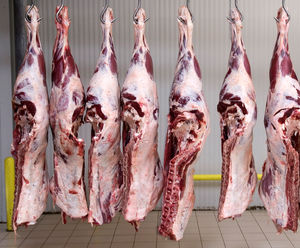 More abattoirs using Multirail overhead track systems