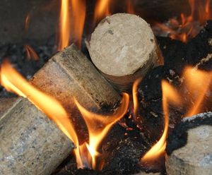 Eco-friendly fire wood nuggets