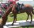 Cast Iron Lifesize Grazing Horse Statue - outdoor garden sculpture 1