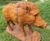 Cast Iron Wild Boar Statue - cast iron garden animal ornament 3