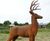 Cast Iron Classic Life-size Stag Garden Statue 2