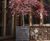 Clayfibre Chelsea Planters - box, trough & cylinder garden planters 4