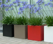Planter Fibreglass / Troughs / Boxes / Cylinders