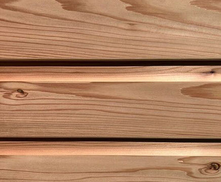 Cedar shiplap cladding