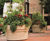 Pro Urba Reale planter 5