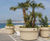 Pro Urba Reale planter 1