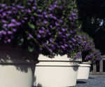 Pro Urba Reale planter