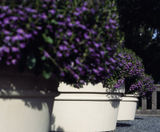 Pro Urba Reale planter - on this page
