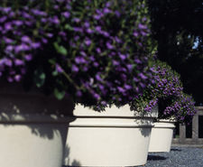 Pro Urba Reale planter