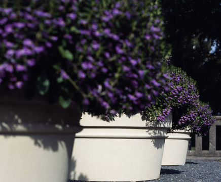 Pro Urba Reale planter
