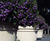 Pro Urba Reale planter 0