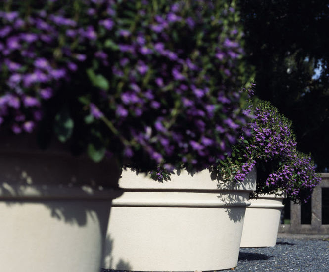 Pro Urba Reale planter