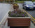 Public realm stainless steel street furniture - Bangor 4