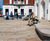 Public realm stainless steel street furniture - Bangor 2