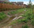 Sustainable drainage scheme for new Leicester Asda store 1