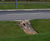 KerbDrain highway SUDS scheme, Buckshaw Village 1