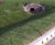 KerbDrain highway SUDS scheme, Buckshaw Village 2