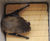 ACO Bat Box 0