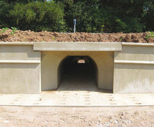 Tunnel provides protection for wildlife at business park