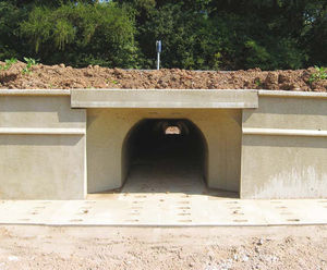 Tunnel provides protection for wildlife at business park