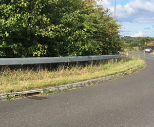 Wildlife Kerb stops amphibians from falling down gullies