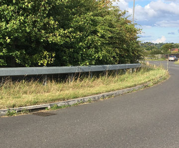 Wildlife Kerb stops amphibians from falling down gullies