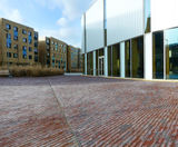Sustainable drainage solution for new university campus  - on this page