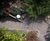 ACO GravelGuard - Ground reinforcement grid for gravel stabilisation 2