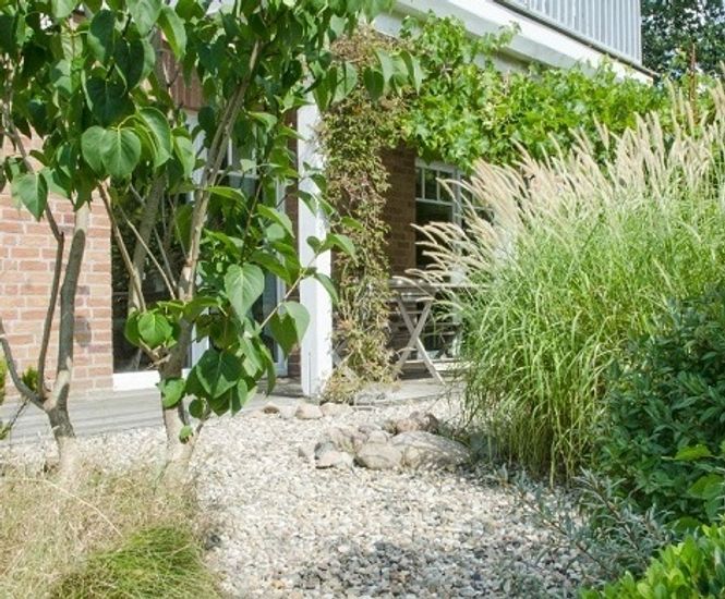 Sustainable garden design - nature sets new standards