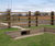 Wildlife guide walls and tunnels at new development 0