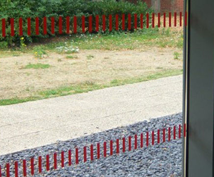 Glass manifestation - partitions, windows and shopfronts