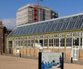 Security window films