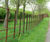 Traditional-style 5-bar steel estate and parkland fencing 8