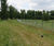 2m-high deer fencing for country estates and parkland 1