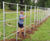 Deer fencing and tree guards for historic country estate 0