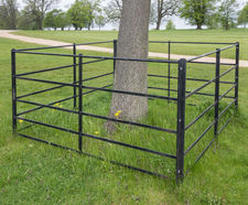 5-bar metal tree fences for protecting mature trees